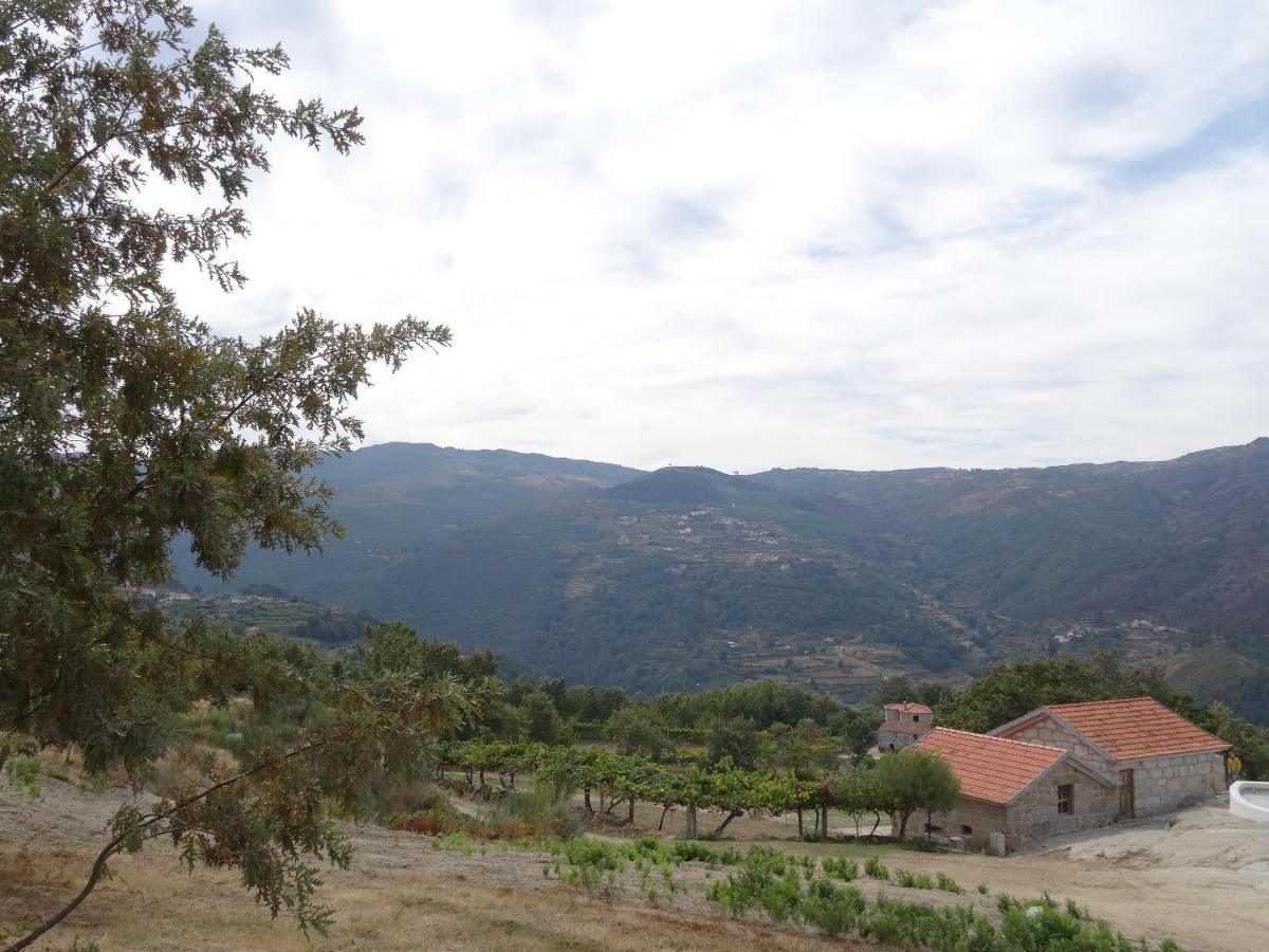 Quinta De S. Cipriano Villa Resende Exterior photo