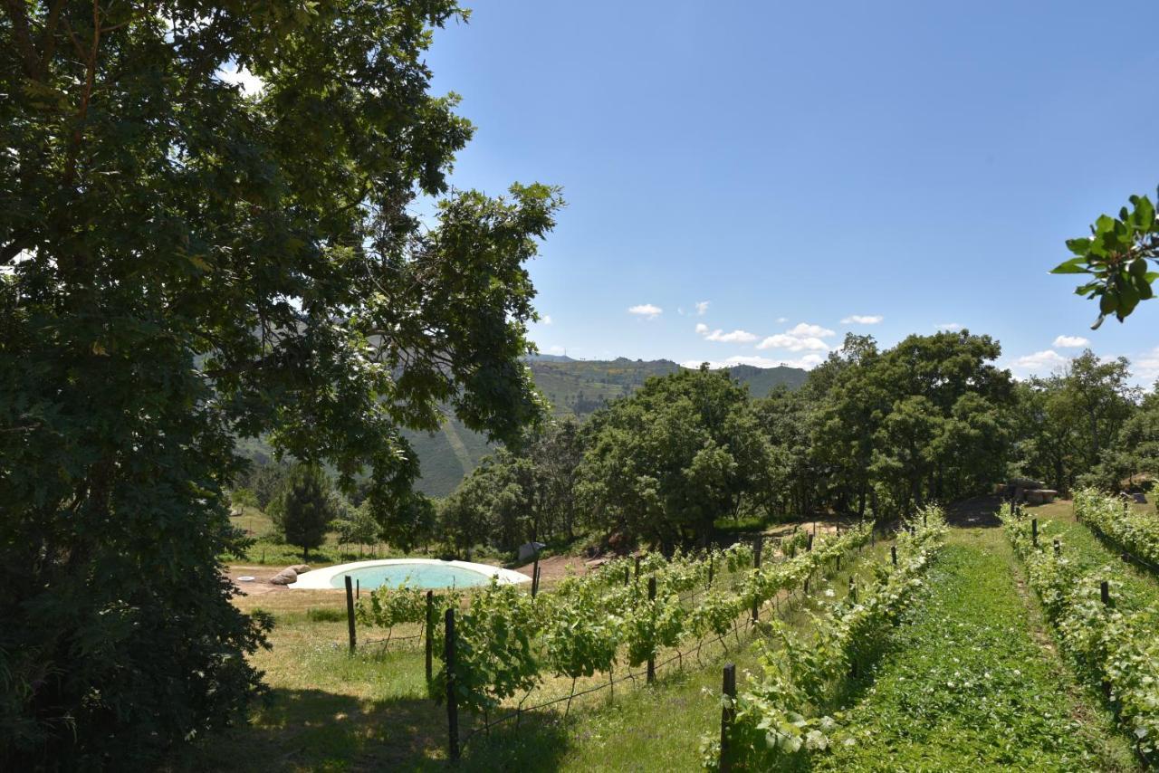 Quinta De S. Cipriano Villa Resende Exterior photo